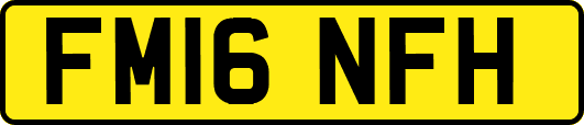 FM16NFH