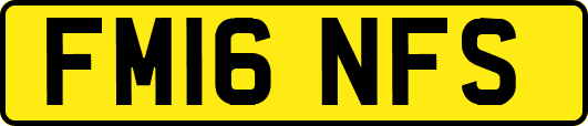 FM16NFS