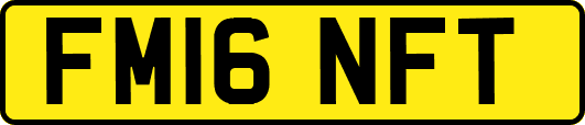 FM16NFT
