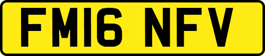 FM16NFV