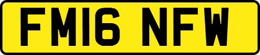 FM16NFW
