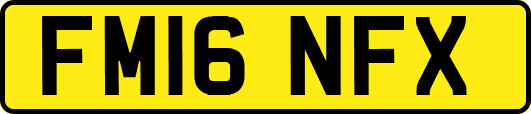 FM16NFX
