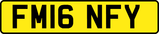 FM16NFY