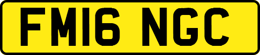 FM16NGC