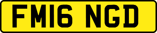 FM16NGD