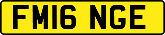 FM16NGE