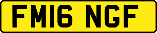 FM16NGF