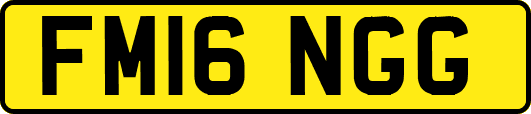 FM16NGG
