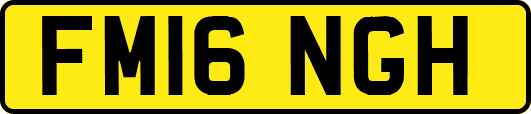 FM16NGH