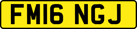 FM16NGJ