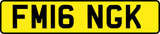 FM16NGK
