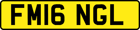 FM16NGL