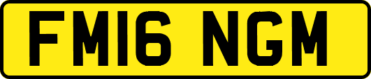 FM16NGM