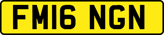 FM16NGN