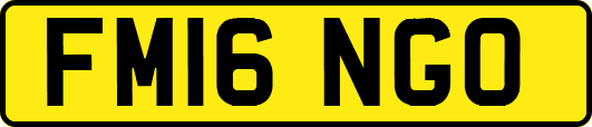 FM16NGO