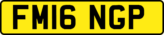 FM16NGP