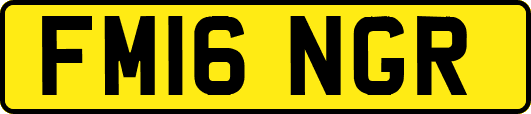 FM16NGR