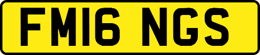 FM16NGS
