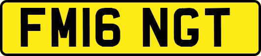 FM16NGT