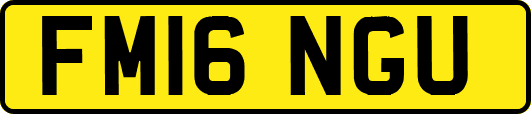 FM16NGU