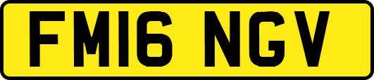 FM16NGV
