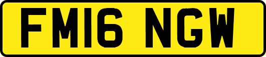 FM16NGW