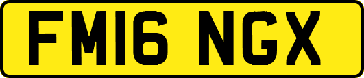 FM16NGX