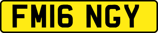 FM16NGY
