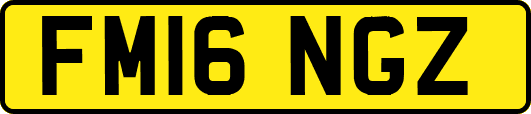 FM16NGZ