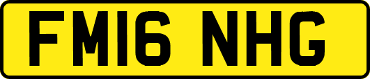 FM16NHG
