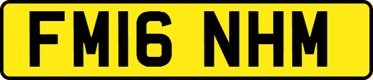 FM16NHM