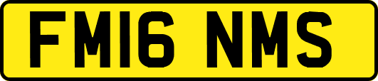 FM16NMS