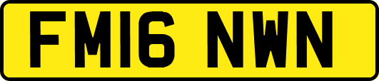 FM16NWN