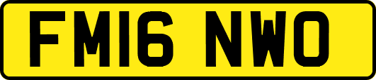 FM16NWO