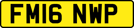 FM16NWP