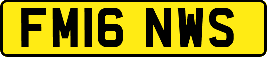 FM16NWS