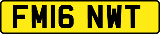 FM16NWT