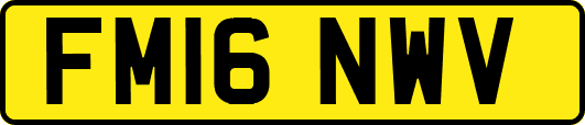 FM16NWV