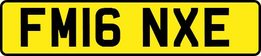 FM16NXE