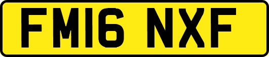 FM16NXF