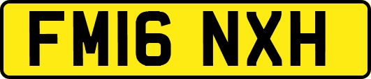 FM16NXH