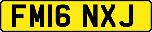 FM16NXJ