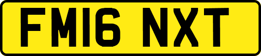 FM16NXT
