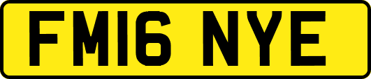 FM16NYE