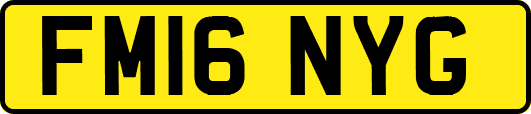 FM16NYG
