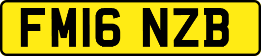 FM16NZB