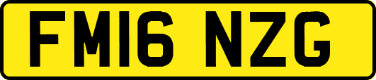 FM16NZG