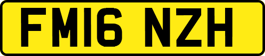 FM16NZH
