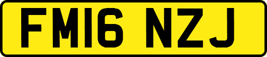FM16NZJ