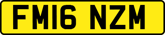 FM16NZM